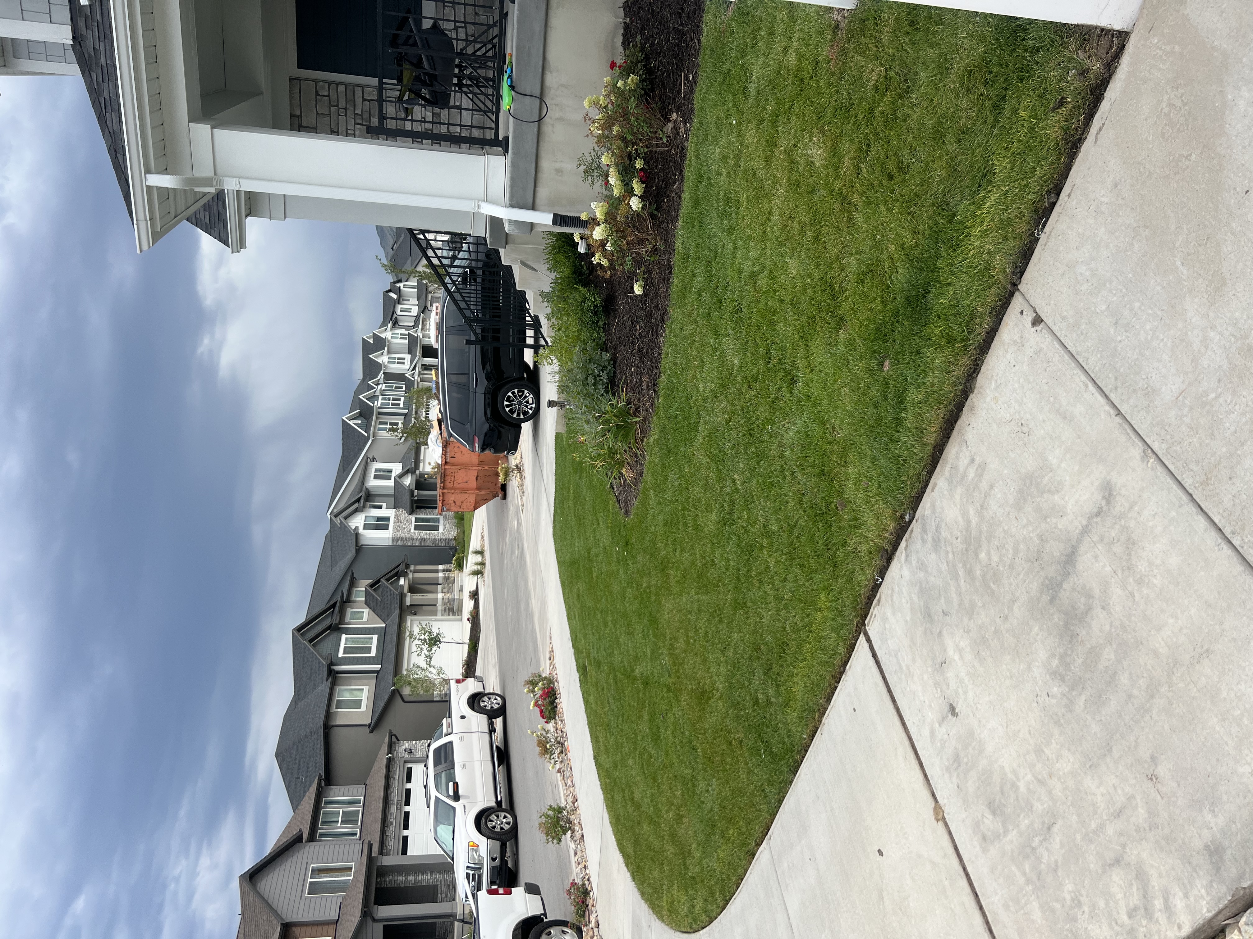 Site preparation and design