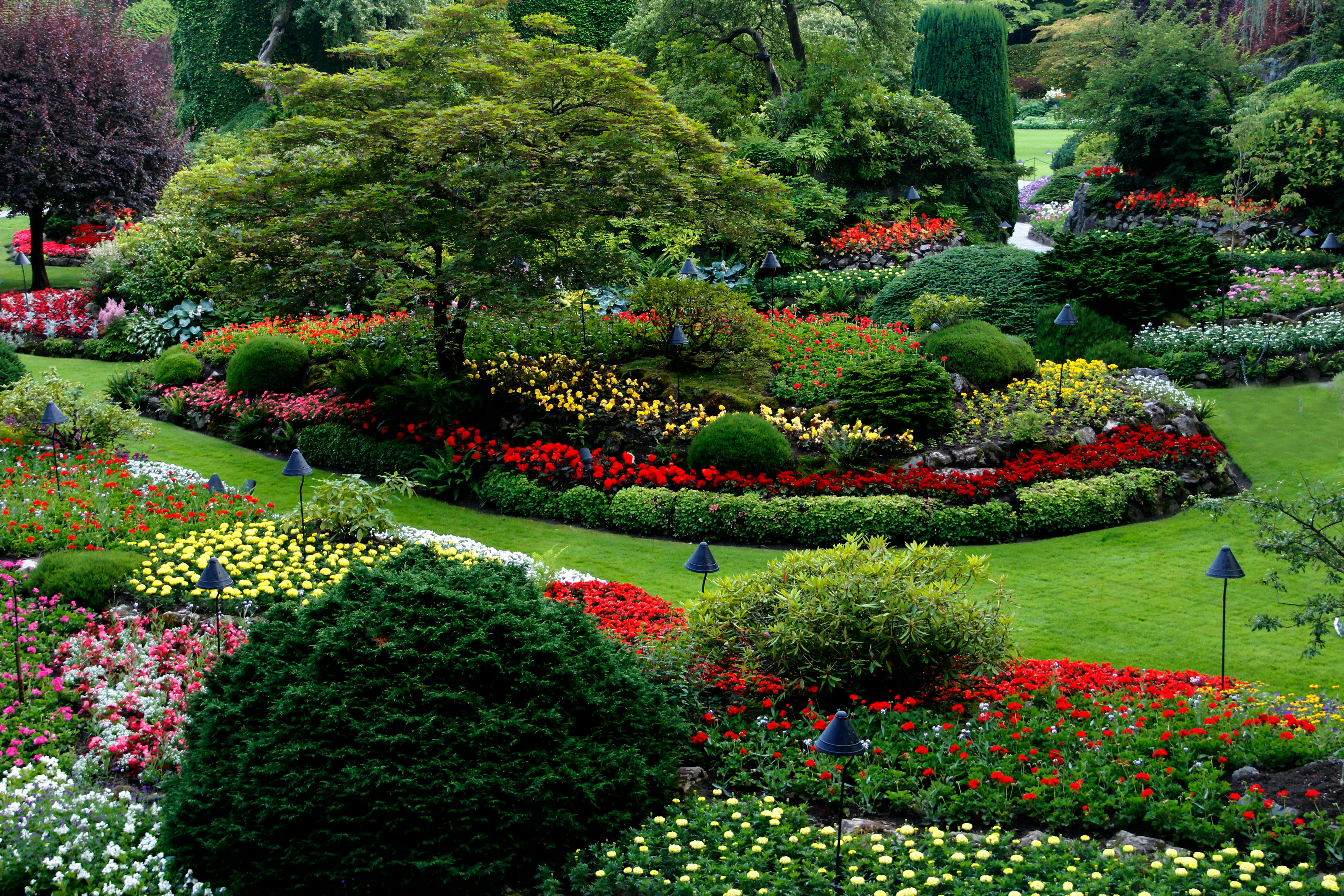 Custom landscape design