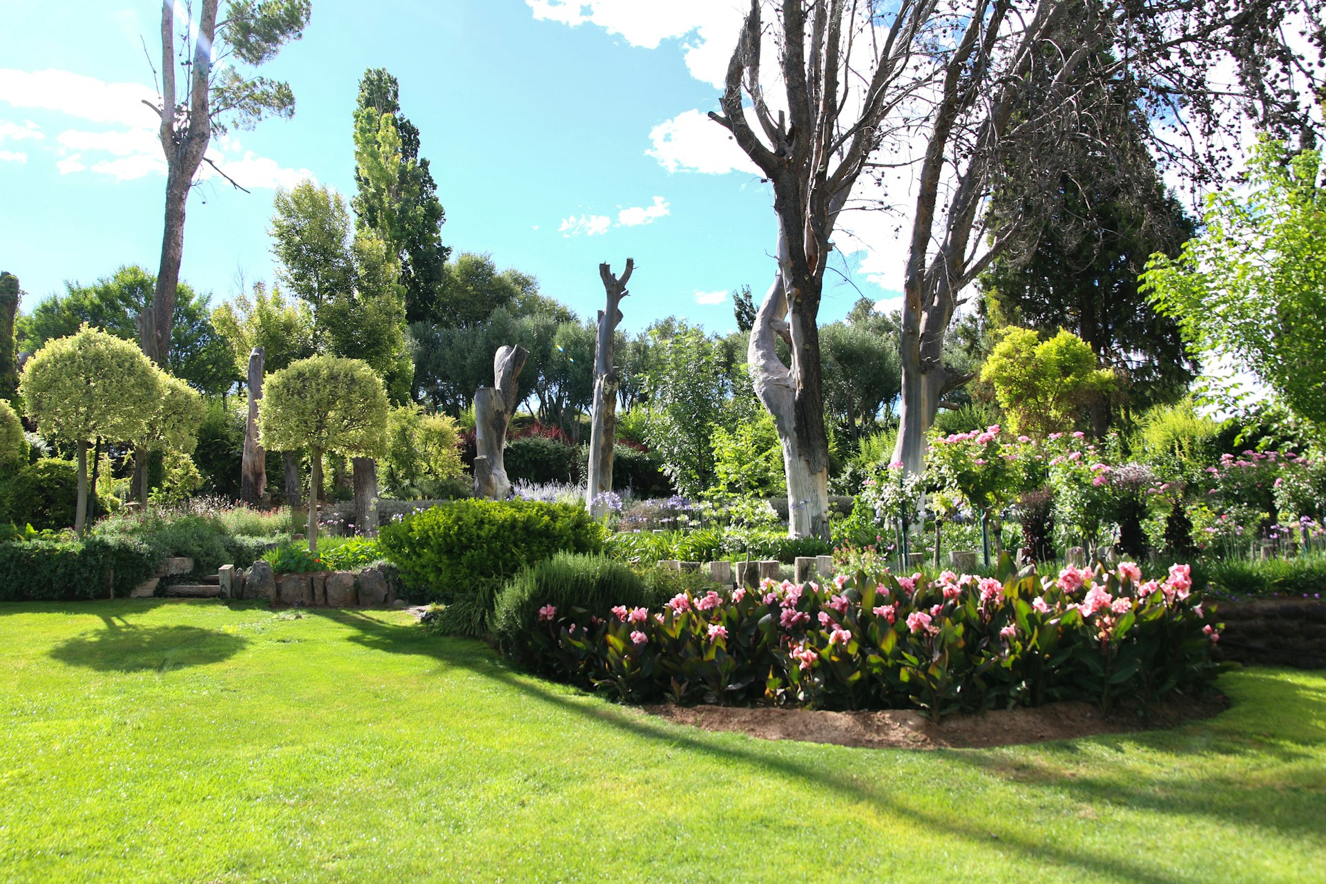Landscape development
