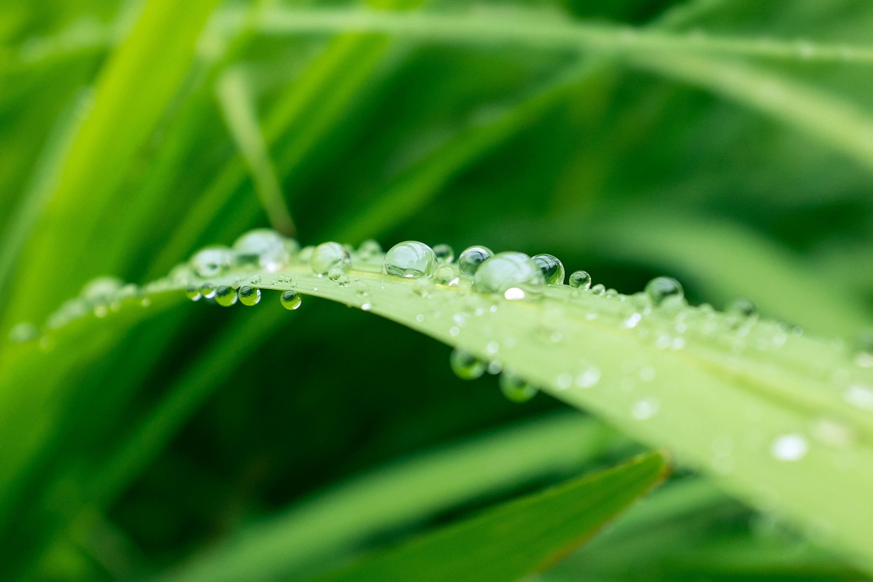 Irrigation systems
