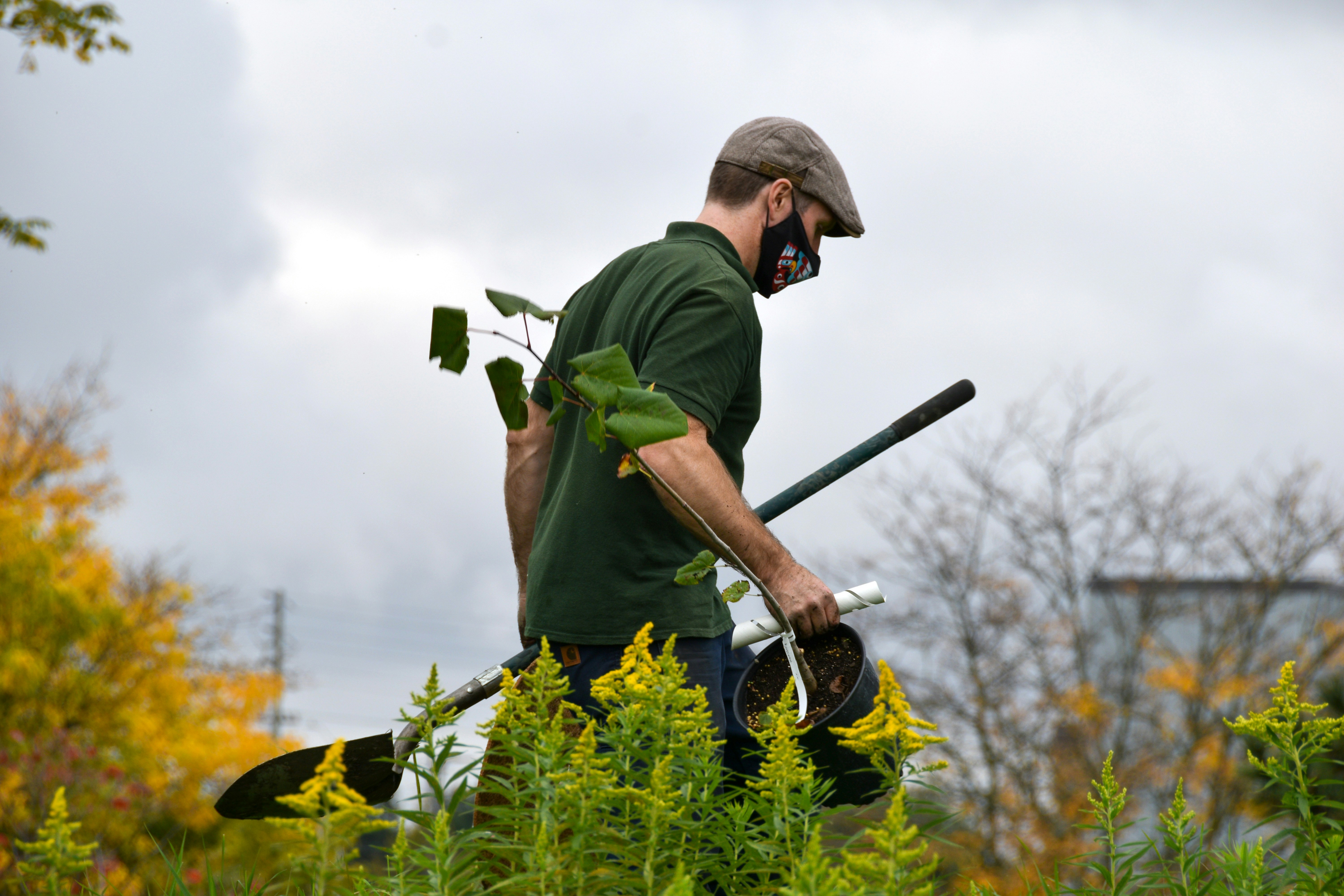 Landscape maintenance